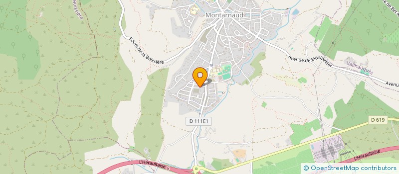 localisation de l'entreprise MADAME PRISCA MAMENGUI MOUITY  MONTARNAUD