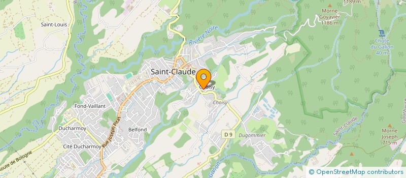 localisation de l'entreprise MADAME PRISCILIA SEGRETIER à SAINT-CLAUDE