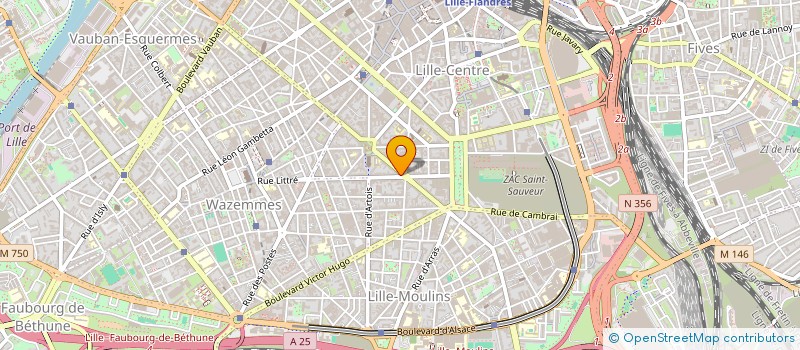 localisation de l'entreprise MADAME PRISCILLA VANHASBROUCK  LILLE