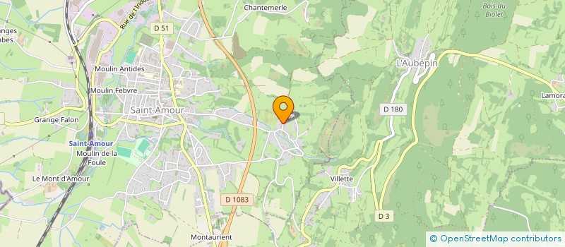 localisation de l'entreprise MADAME PRISCILLIA RANDY  SAINT-AMOUR