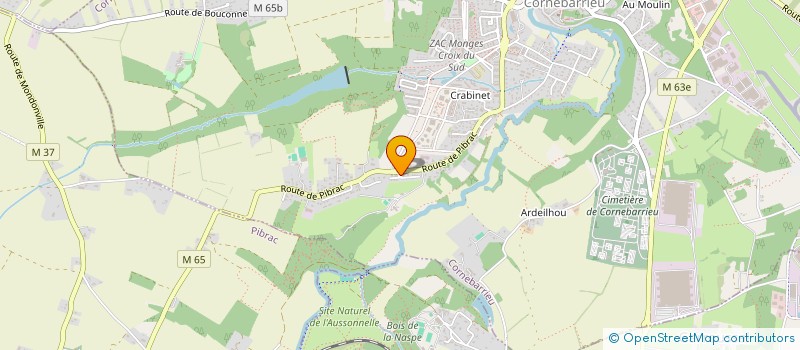 localisation de l'entreprise MADAME PRISCILLIA SERROEN  CORNEBARRIEU