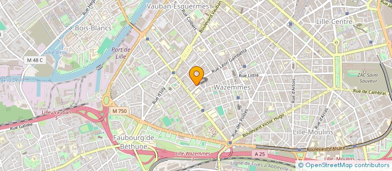 localisation de l'entreprise MADAME PRISCILLIA WOJCIECHOWSKI à LILLE