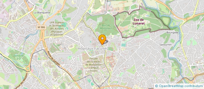 localisation de l'entreprise MADAME PRISKA BULTEZ à MONTPELLIER