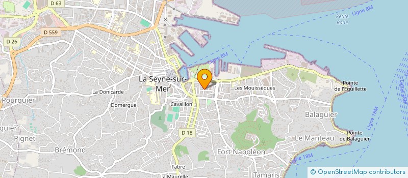 localisation de l'entreprise MADAME RABAA HAMADI  LA SEYNE-SUR-MER