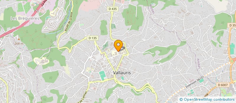 localisation de l'entreprise MADAME RACHEL BOSTOCK à VALLAURIS