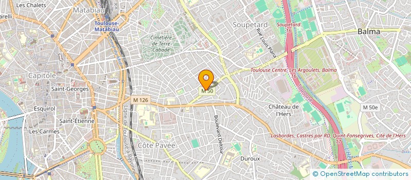 localisation de l'entreprise MADAME RACHEL DARES à TOULOUSE