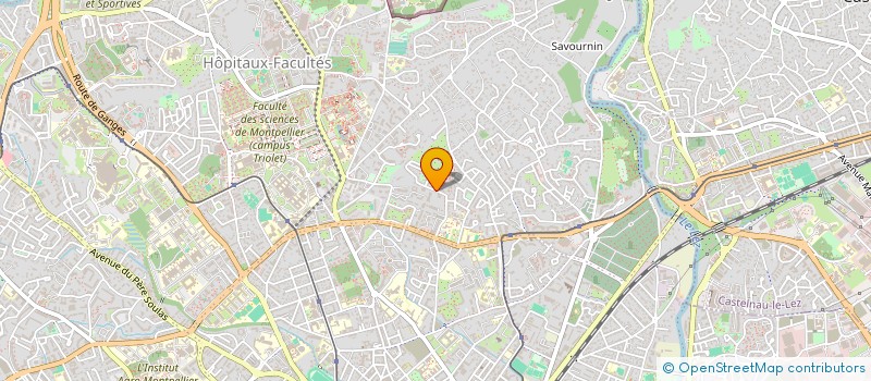 localisation de l'entreprise MADAME RACHEL HELFAND à MONTPELLIER