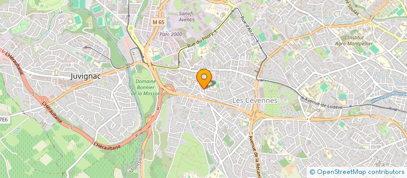 localisation de l'entreprise MADAME RACHEL MARIE-JEANNE REYNAUD  SAINT-ANDRE-DE-SANGONIS