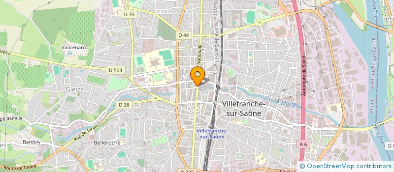 localisation de l'entreprise MADAME RACHEL MONNERET à VILLEFRANCHE-SUR-SAONE