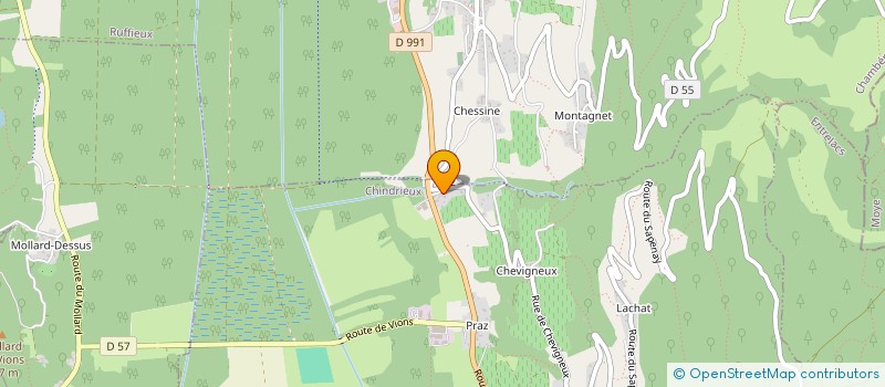 localisation de l'entreprise MADAME RACHEL REYNOUD  CHINDRIEUX