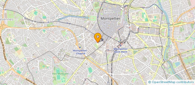 localisation de l'entreprise MADAME RACHEL WALTERS à MONTPELLIER