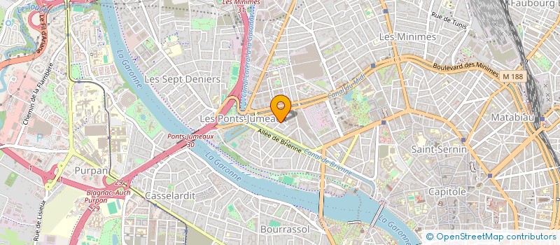 localisation de l'entreprise MADAME RACHELLE WOLF  TOULOUSE