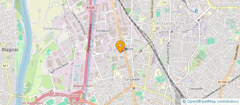 localisation de l'entreprise MADAME RACHID HANIBAL  TOULOUSE
