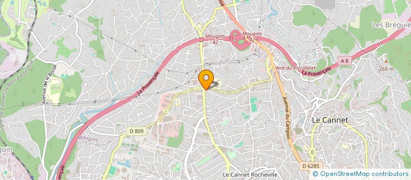 localisation de l'entreprise MADAME RACHIDA EL MIYOUI à LE CANNET