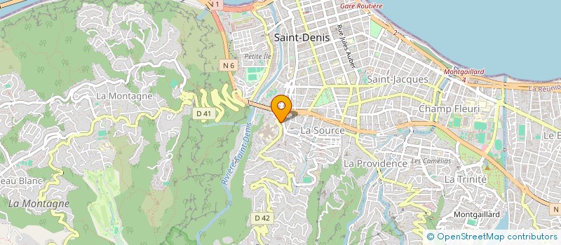 localisation de l'entreprise MADAME RACHMI HANDHOIMINA  SAINT-DENIS