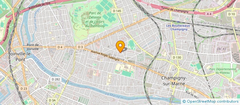 localisation de l'entreprise MADAME RADOSTINA VELIKOVA à CHAMPIGNY-SUR-MARNE