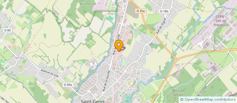 localisation de l'entreprise MADAME RAFAELA CUBAS à SAINT-GENIS-POUILLY