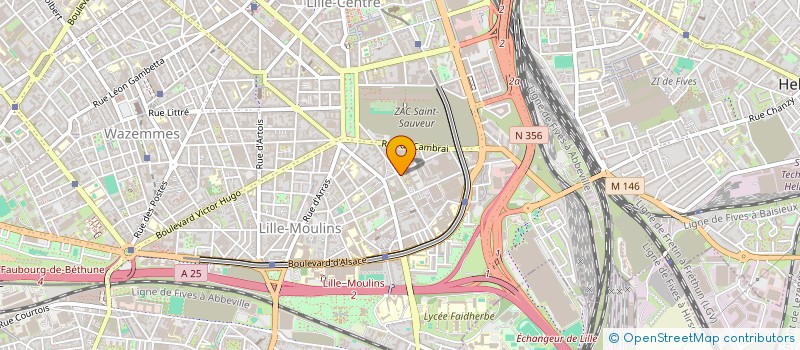 localisation de l'entreprise MADAME RAGHDA HUSSEIN  LILLE