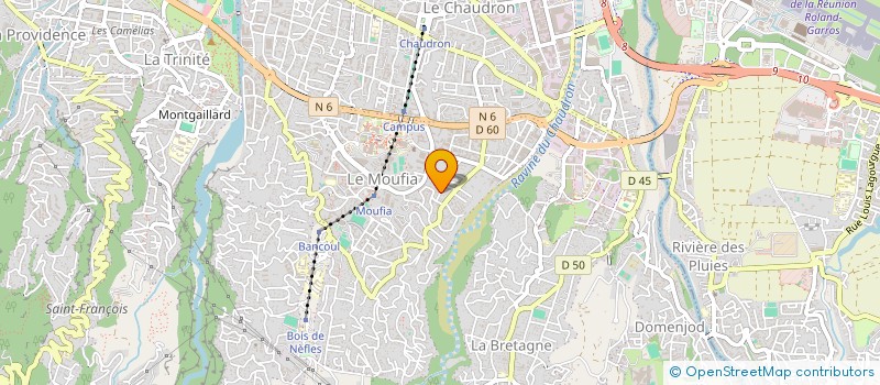 localisation de l'entreprise MADAME RAISSA BUISSON DE LARICHAUDY à SAINT-DENIS