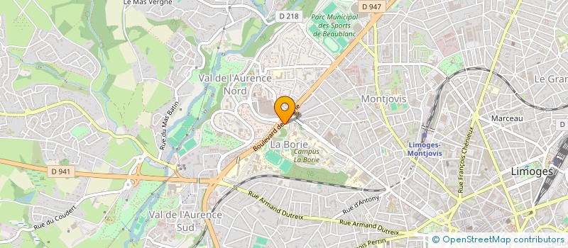 localisation de l'entreprise MADAME RAISSA NELVA KANMOGNE à LIMOGES