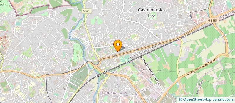 localisation de l'entreprise MADAME RAJA BEN MOHAMED  CASTELNAU-LE-LEZ