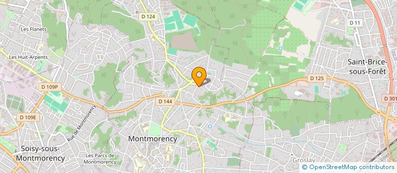 localisation de l'entreprise MADAME RAMA HUSAIN  MONTMORENCY