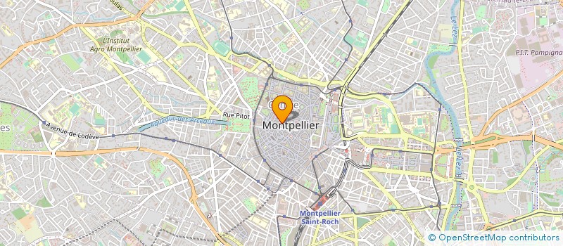 localisation de l'entreprise MADAME RAMONA BECSA à MONTPELLIER