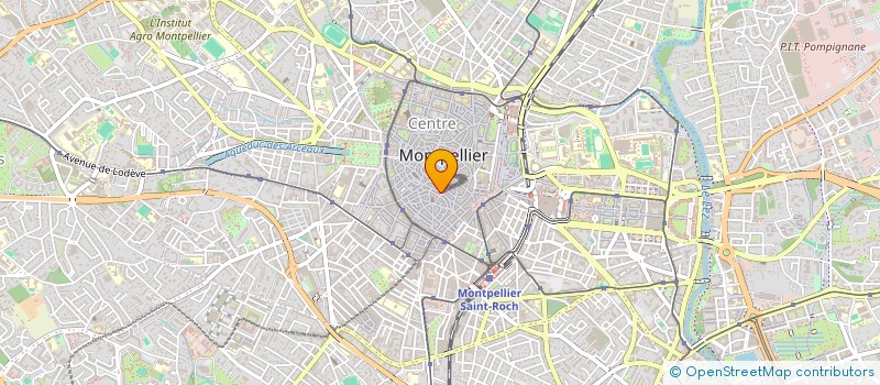 localisation de l'entreprise MADAME RAMONA-RAWCA STAN à MONTPELLIER