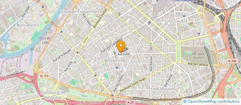 localisation de l'entreprise MADAME RAMONA TONI  LILLE