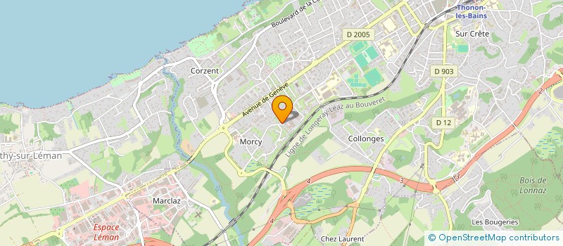 localisation de l'entreprise MADAME RANA SHIKH MOHAMMED à THONON-LES-BAINS