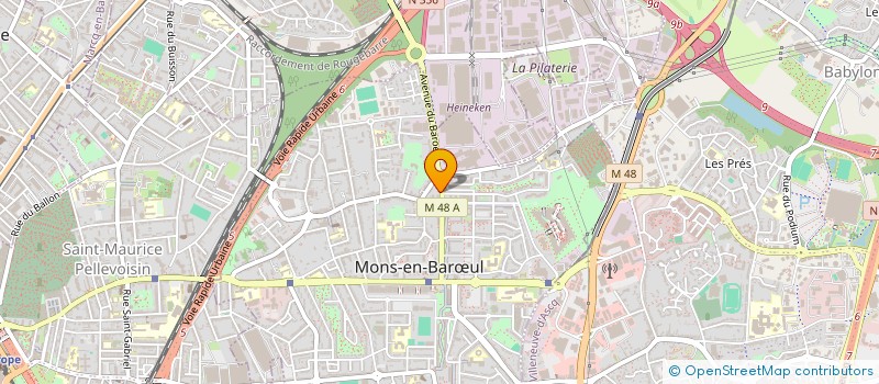 localisation de l'entreprise MADAME RANIA BACHIR IDRISS  MONS-EN-BARUL