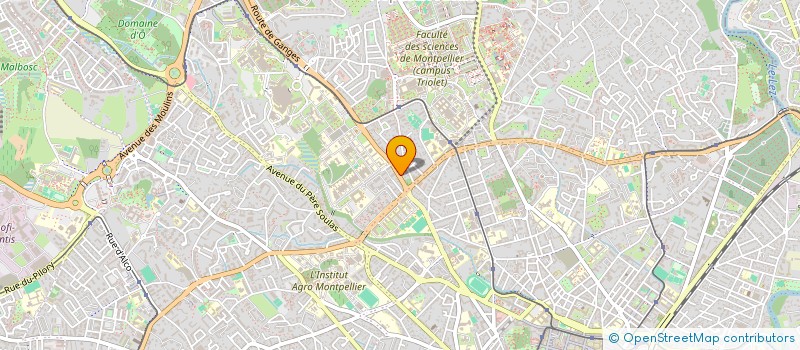 localisation de l'entreprise MADAME RANIA BOUADJEMI à MONTPELLIER