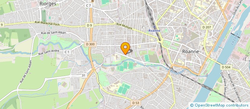 localisation de l'entreprise MADAME RANIA EL HASSANI à ROANNE