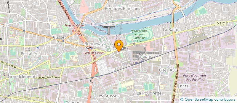 localisation de l'entreprise MADAME RAOUYA OTHEMANI  VILLEURBANNE