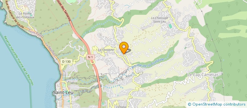 localisation de l'entreprise MADAME RAPHAELE CARLIER  SAINT-LEU