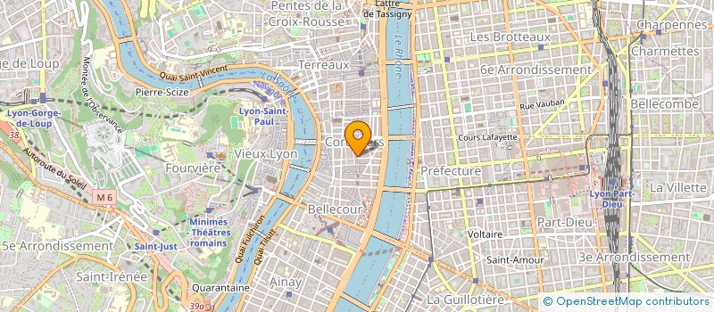 localisation de l'entreprise MADAME RAPHAELE DELORME  LYON