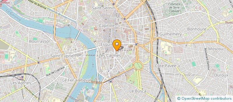 localisation de l'entreprise MADAME RAPHAELE IPAS à TOULOUSE