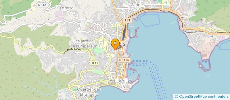 localisation de l'entreprise MADAME RAPHAELE MASTOR à AJACCIO