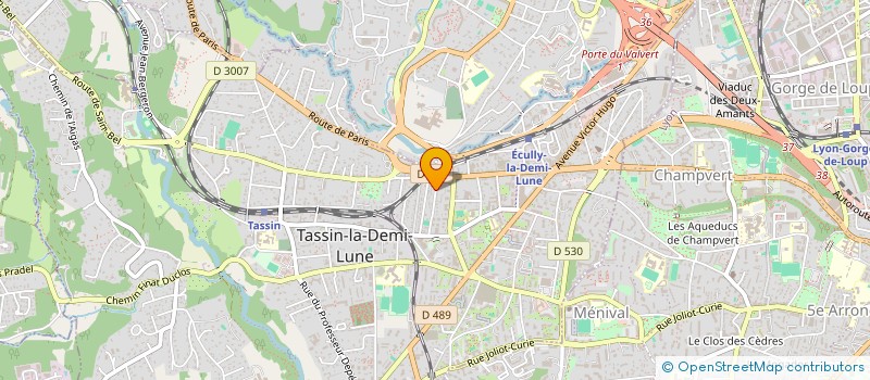 localisation de l'entreprise MADAME RAPHAELE VOLLANT à TASSIN-LA-DEMI-LUNE