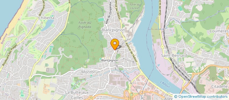 localisation de l'entreprise MADAME RAPHAELLE BOURGOUIN  ANGLET