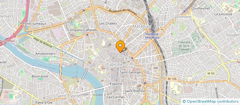 localisation de l'entreprise MADAME RAPHAELLE GUIONNET  TOULOUSE