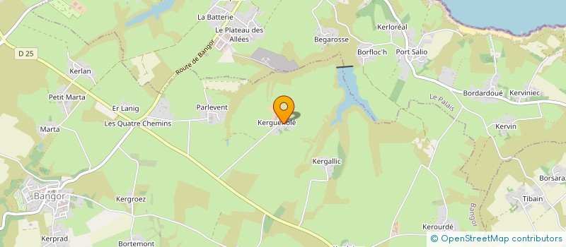 localisation de l'entreprise MADAME RAPHAELLE KERIGNARD  BANGOR