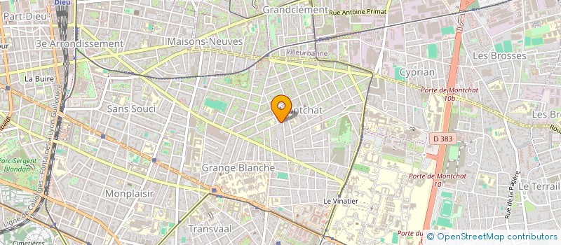 localisation de l'entreprise MADAME RAPHAELLE VIEVARD  LYON