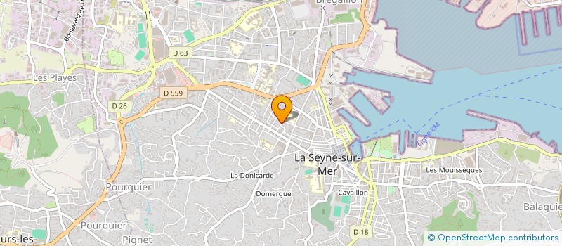 localisation de l'entreprise MADAME RAQUEL MUNOZ PINAN  LA SEYNE-SUR-MER