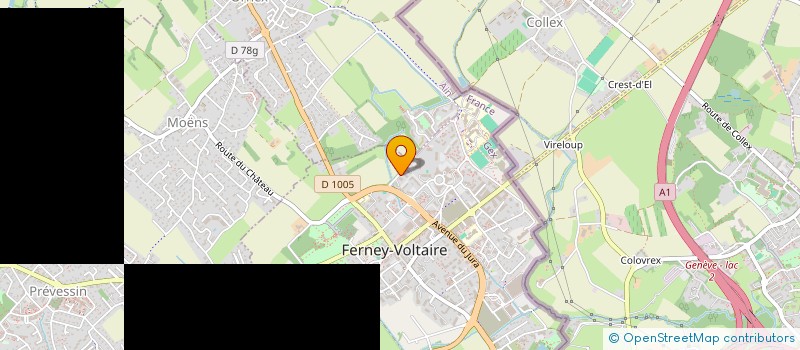 localisation de l'entreprise MADAME RAQUEL SOLES VALMAYOR à FERNEY-VOLTAIRE