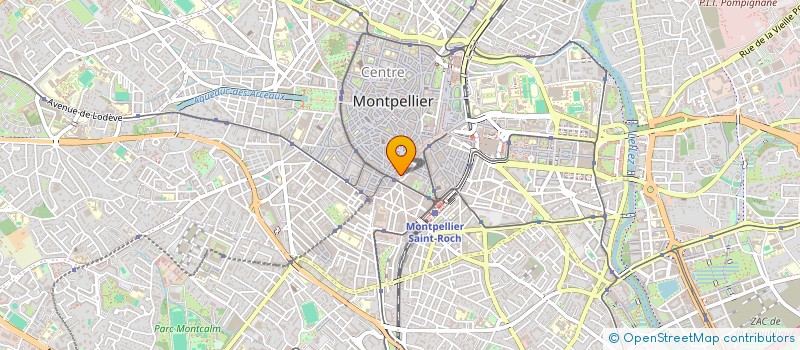 localisation de l'entreprise MADAME RAVECA-REGHINA MACINGO à MONTPELLIER