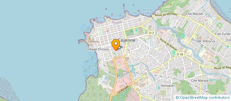 localisation de l'entreprise MADAME RAWAA ABOU MOGHDEB  CAYENNE