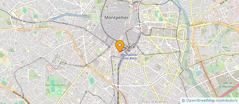 localisation de l'entreprise MADAME RAYA KANAAN à MONTPELLIER