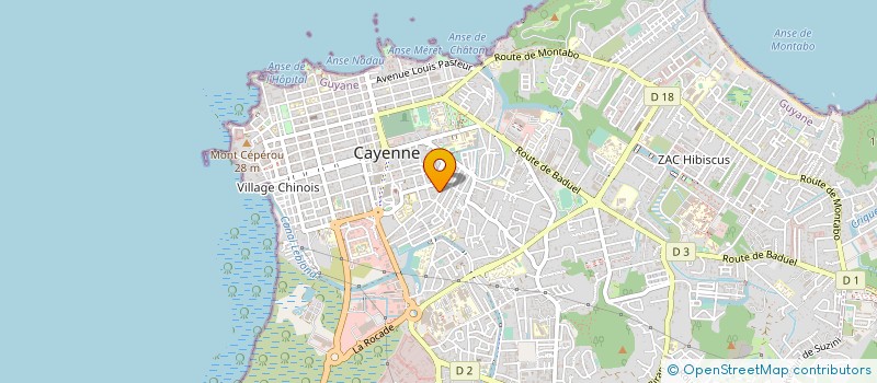 localisation de l'entreprise MADAME RAYMONDE BANGO à CAYENNE