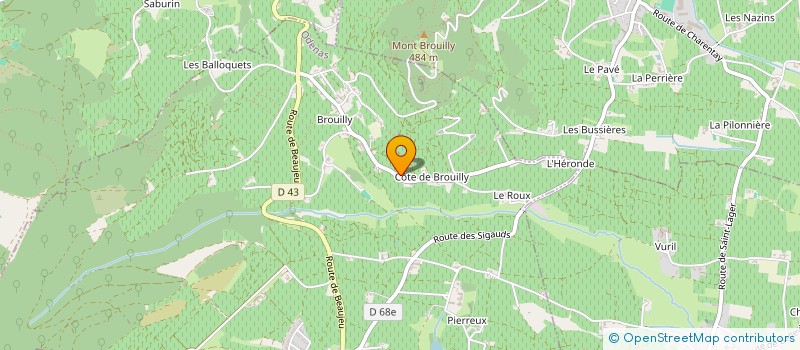 localisation de l'entreprise MADAME RAYMONDE BOLEVY à ODENAS